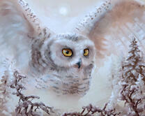 Без бренда «2KMB-3848» в Казане