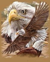 Без бренда «2KMB-4315» в Казане