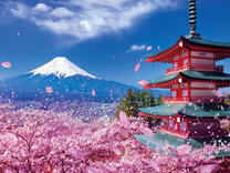 Без бренда «2KSB-7277» в Казане