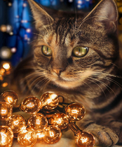 Без бренда «2KXSB-0678» в Казане