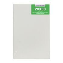 Без бренда «Коробка 80 шт.: Холст Две картинки на подрамнике 20X30» в Казане