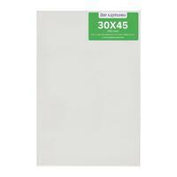 Без бренда «Коробка 40 шт.: Холст Две картинки на подрамнике 30X45» в Казане