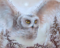 Без бренда «Полярная сова над лесом (20шт)» в Казане