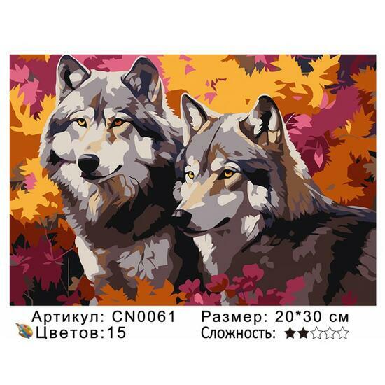 Картина по номерам 20x30 CN0061