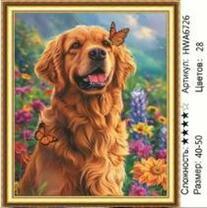 Без бренда «HWA6726» в Казане