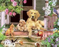 Собрание на крылечке