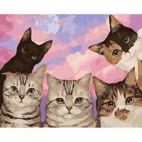 Без бренда «Такие разные котики» в Казане