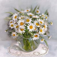 Без бренда «Букет свежих ромашек» в Казане в интернет-магазине  Без бренда «Букет свежих ромашек» в Казане