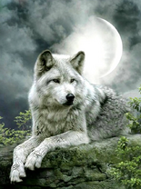 Без бренда «Коробка 25 шт. картин по номерам BOX25-GX21058» в Казане