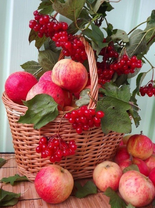 Без бренда «Коробка 25 шт. картин по номерам BOX25-GX5174» в Казане