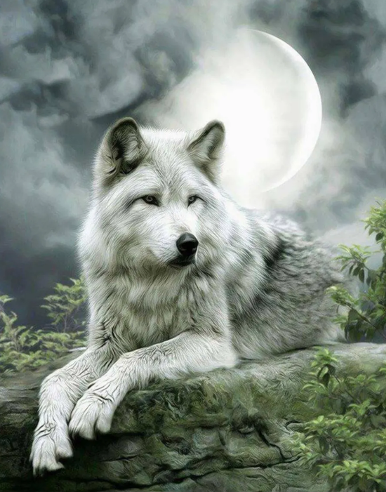 Картина по номерам 40x50 Серый волк в полнолуние