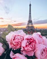 Букет нежных пионов на фоне Эйфелевой башни