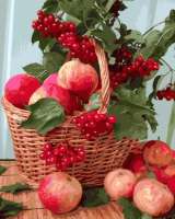 Без бренда «Плетёная корзина с калиной и яблоками» в Казане
