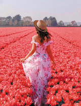 Прогулка по тюльпанному полю