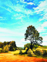 Без бренда «Осенний пейзаж с голубым небом» в Казане в интернет-магазине  Без бренда «Осенний пейзаж с голубым небом» в Казане