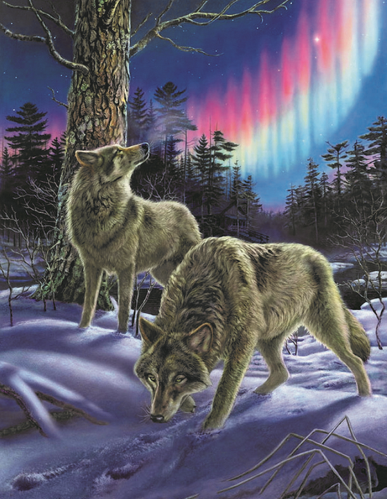 Алмазная мозаика 40x50 Серые волки на фоне северного сияния