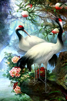 Без бренда «Коробка 25 шт. картин по номерам BOX25-GX29399» в Казане в интернет-магазине  Без бренда «Коробка 25 шт. картин по номерам BOX25-GX29399» в Казане