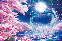 Любовь дельфинов среди ночи