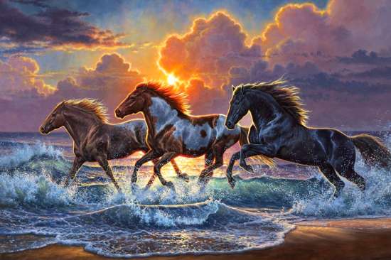 Картина по номерам 40x50 Стремительный бег лошадей на пляже